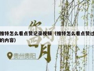 推特怎么看点赞记录视频（推特怎么看点赞过的内容）