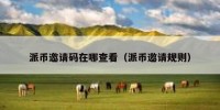 派币邀请码在哪查看（派币邀请规则）