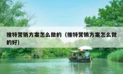 推特营销方案怎么做的（推特营销方案怎么做的好）