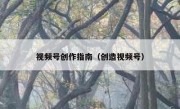 视频号创作指南（创造视频号）