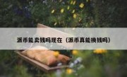 派币能卖钱吗现在（派币真能换钱吗）