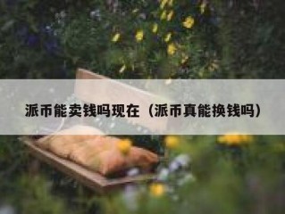 派币能卖钱吗现在（派币真能换钱吗）