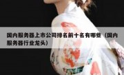 国内服务器上市公司排名前十名有哪些（国内服务器行业龙头）