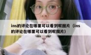 ins的评论在哪里可以看到呢图片（ins的评论在哪里可以看到呢图片）