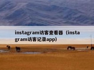 instagram访客查看器（instagram访客记录app）