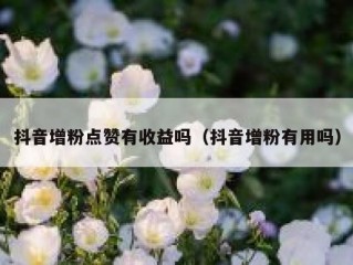 抖音增粉点赞有收益吗（抖音增粉有用吗）