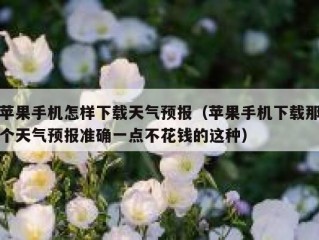 苹果手机怎样下载天气预报（苹果手机下载那个天气预报准确一点不花钱的这种）