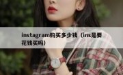 instagram购买多少钱（ins是要花钱买吗）