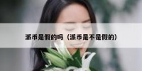 派币是假的吗（派币是不是假的）