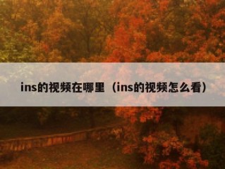 ins的视频在哪里（ins的视频怎么看）