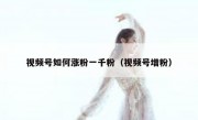 视频号如何涨粉一千粉（视频号增粉）