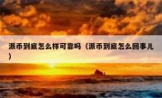 派币到底怎么样可靠吗（派币到底怎么回事儿）