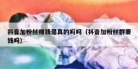 抖音加粉丝赚钱是真的吗吗（抖音加粉丝群要钱吗）