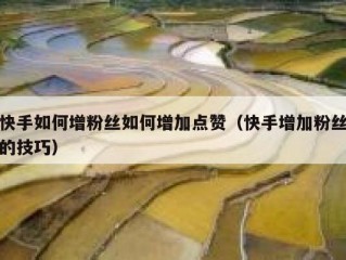 快手如何增粉丝如何增加点赞（快手增加粉丝的技巧）