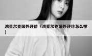 鸿星尔克国外评价（鸿星尔克国外评价怎么样）