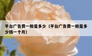 平台广告费一般是多少（平台广告费一般是多少钱一个月）