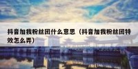 抖音加我粉丝团什么意思（抖音加我粉丝团特效怎么弄）