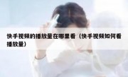 快手视频的播放量在哪里看（快手视频如何看播放量）