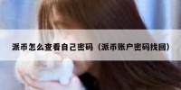 派币怎么查看自己密码（派币账户密码找回）
