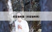 抖音加粉器（抖音加粉网）