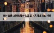 支付宝接口失败是什么意思（支付宝接口对接）