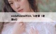 vodafonewifi18√k老狼（老狼ui）