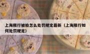 上海限行被拍怎么处罚规定最新（上海限行如何处罚规定）
