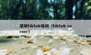 深圳tiktok培训（tiktok career）