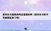 派币办卡是真的吗还是假的啊（派币办卡的今天被抓起来了吗）