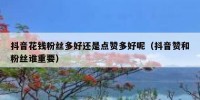 抖音花钱粉丝多好还是点赞多好呢（抖音赞和粉丝谁重要）