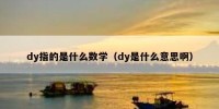dy指的是什么数学（dy是什么意思啊）