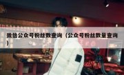 微信公众号粉丝数查询（公众号粉丝数量查询）