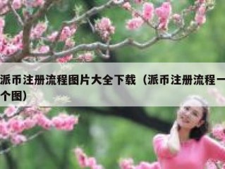 派币注册流程图片大全下载（派币注册流程一个图）