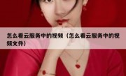 怎么看云服务中的视频（怎么看云服务中的视频文件）