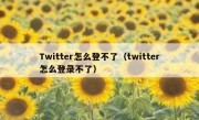 Twitter怎么登不了（twitter怎么登录不了）