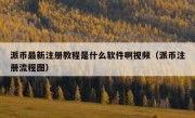 派币最新注册教程是什么软件啊视频（派币注册流程图）