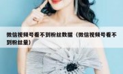 微信视频号看不到粉丝数据（微信视频号看不到粉丝量）