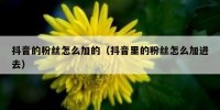 抖音的粉丝怎么加的（抖音里的粉丝怎么加进去）
