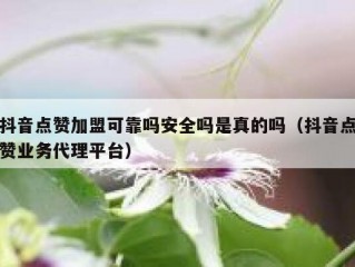 抖音点赞加盟可靠吗安全吗是真的吗（抖音点赞业务代理平台）