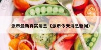 派币最新真实消息（派币今天消息新闻）