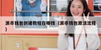 派币钱包创建教程在哪找（派币钱包激活流程）