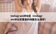 Instagram评论区（instagram评论区里面的动图怎么保存）