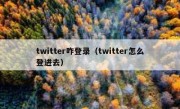 twitter咋登录（twitter怎么登进去）