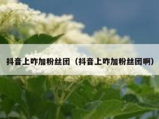 抖音上咋加粉丝团（抖音上咋加粉丝团啊）