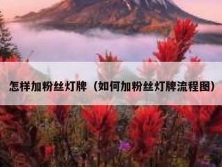 怎样加粉丝灯牌（如何加粉丝灯牌流程图）