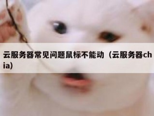 云服务器常见问题鼠标不能动（云服务器chia）