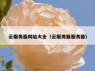 云服务器网站大全（云服务器服务器）