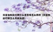 抖音加粉丝灯牌什么意思呀怎么弄的（抖音粉丝灯牌怎么开启加速）