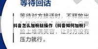 抖音怎么加粉丝操作（抖音如何加粉）