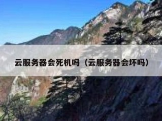 云服务器会死机吗（云服务器会坏吗）